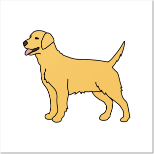 Golden Labrador Posters and Art